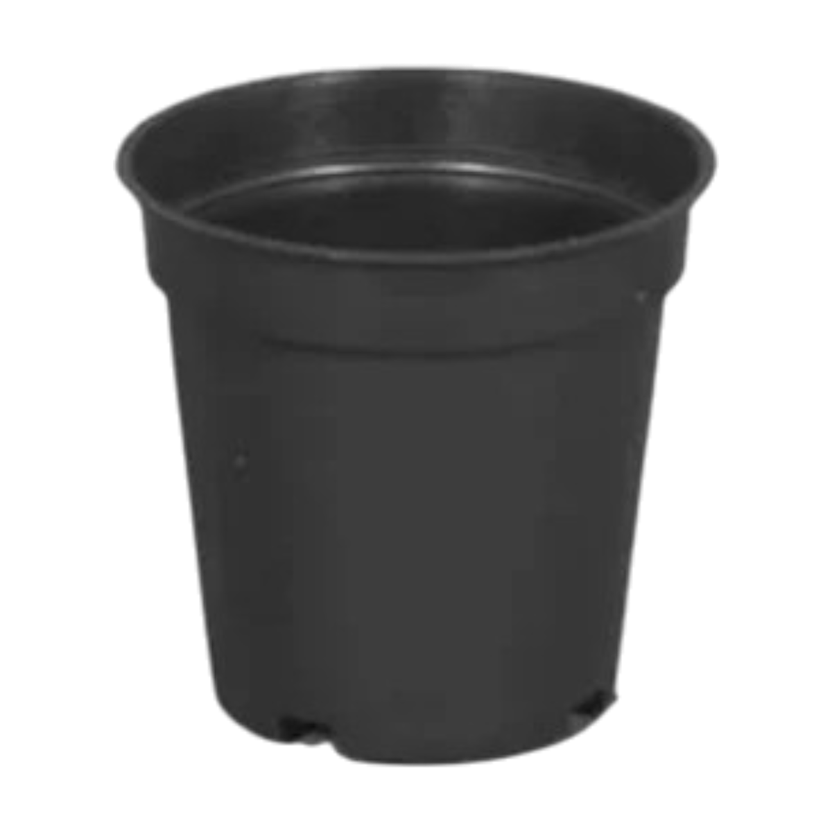 6" Without Collar Nursery Pot